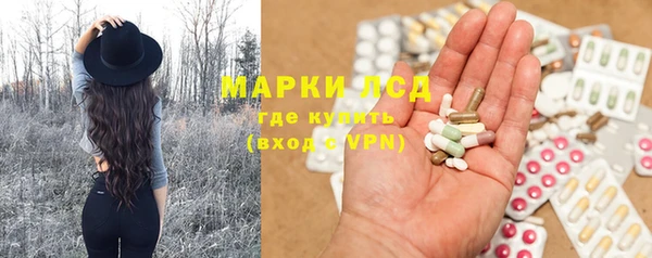 эйфоретик Баксан